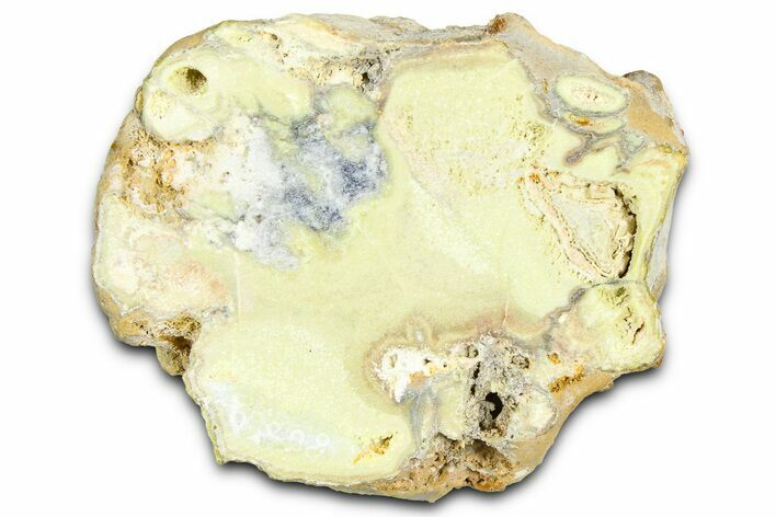 Clay Canyon Crandallite and Wardite - Old Collection Stock #361995